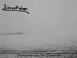 Feldwanderung Im Nebellicht